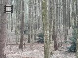 2018-04-15 Jeugdkamp - A-pupillen - 030